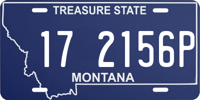 MT license plate 172156P
