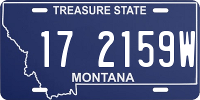 MT license plate 172159W