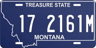 MT license plate 172161M