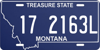 MT license plate 172163L
