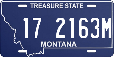 MT license plate 172163M
