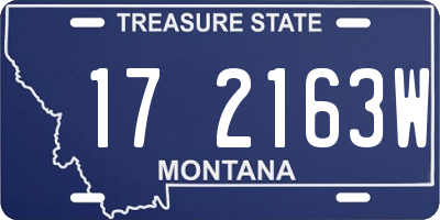 MT license plate 172163W
