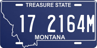 MT license plate 172164M