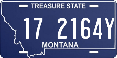MT license plate 172164Y