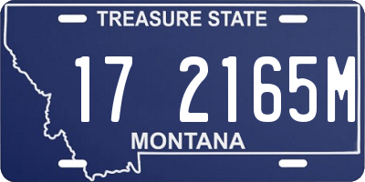 MT license plate 172165M