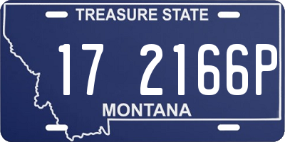 MT license plate 172166P