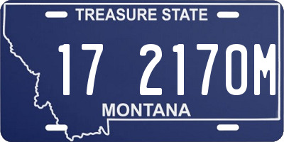 MT license plate 172170M