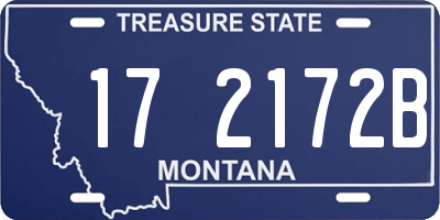 MT license plate 172172B