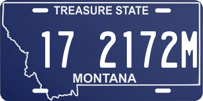 MT license plate 172172M