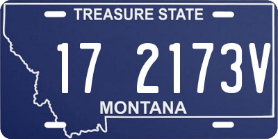 MT license plate 172173V