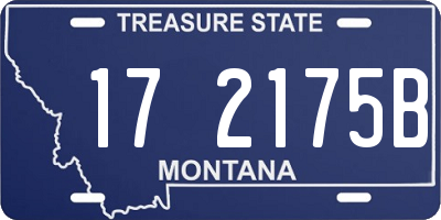 MT license plate 172175B