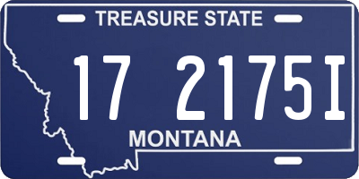 MT license plate 172175I
