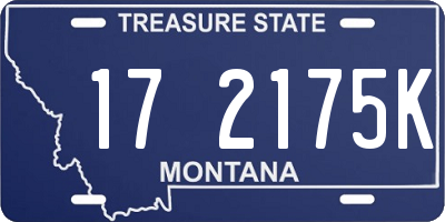 MT license plate 172175K