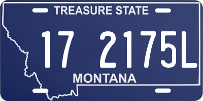 MT license plate 172175L