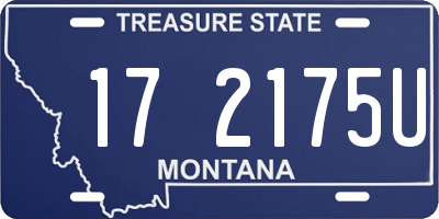 MT license plate 172175U