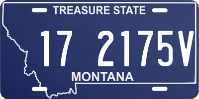 MT license plate 172175V