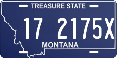 MT license plate 172175X