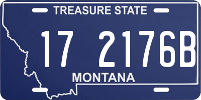 MT license plate 172176B