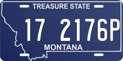 MT license plate 172176P