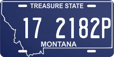 MT license plate 172182P