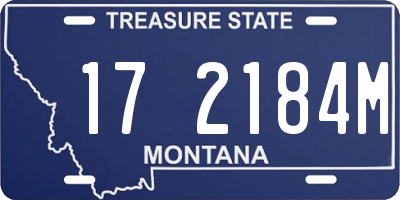 MT license plate 172184M