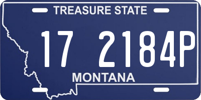 MT license plate 172184P