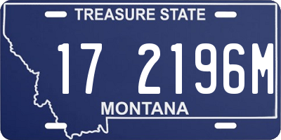 MT license plate 172196M