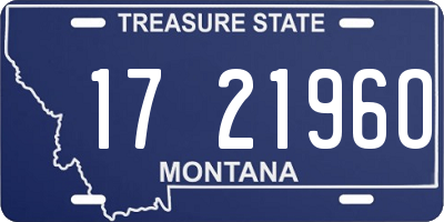 MT license plate 172196O