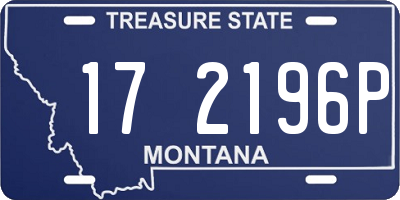 MT license plate 172196P