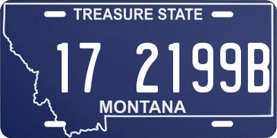 MT license plate 172199B