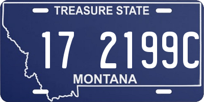 MT license plate 172199C