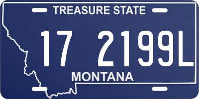 MT license plate 172199L
