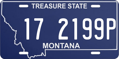 MT license plate 172199P