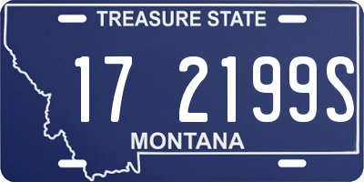 MT license plate 172199S