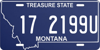 MT license plate 172199U