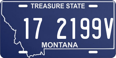 MT license plate 172199V