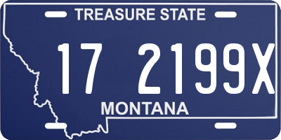 MT license plate 172199X