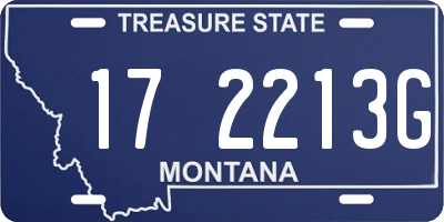 MT license plate 172213G