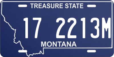 MT license plate 172213M