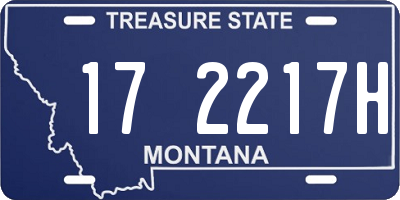 MT license plate 172217H