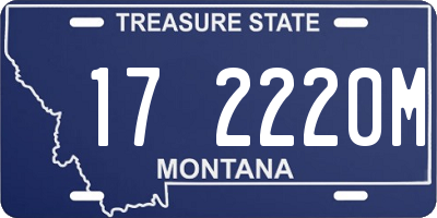 MT license plate 172220M