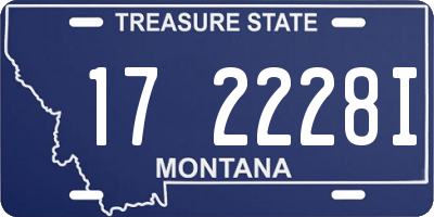 MT license plate 172228I