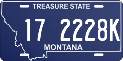 MT license plate 172228K