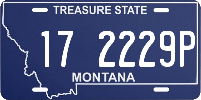 MT license plate 172229P