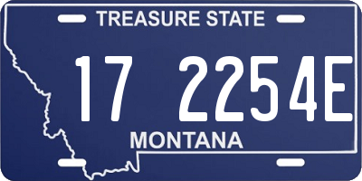 MT license plate 172254E
