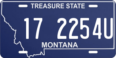 MT license plate 172254U