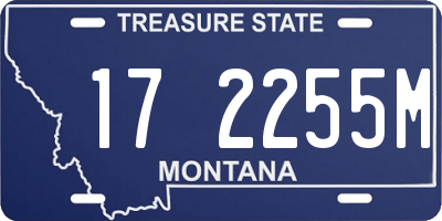 MT license plate 172255M