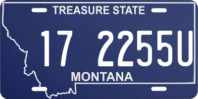 MT license plate 172255U