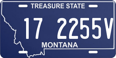 MT license plate 172255V