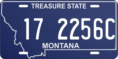 MT license plate 172256C